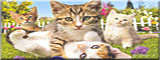 Lapset & El�imet